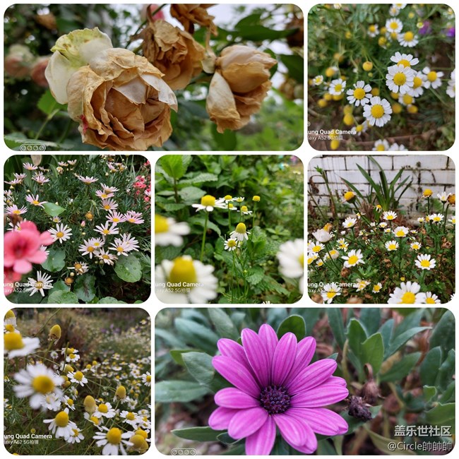 【Galaxy A52 5G星粉體驗團】中端定位、旗艦體驗