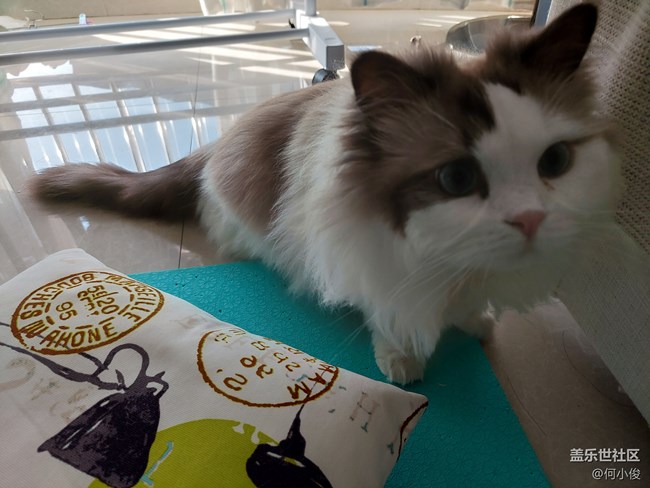 【Galaxy A52 5G星粉體驗(yàn)團(tuán)】Sasmung A52 5G簡(jiǎn)測(cè) by 何小俊