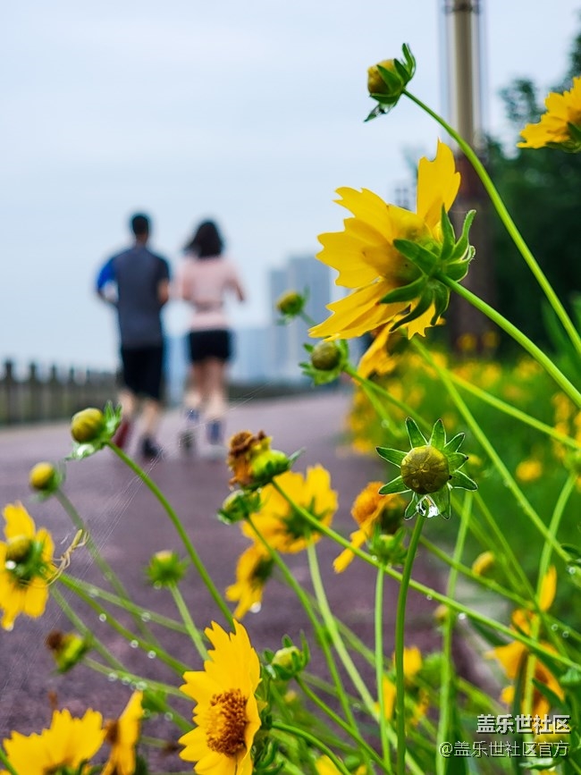 《每周星鮮事》 第66期:三星Galaxy F52 5G全款預(yù)定開啟