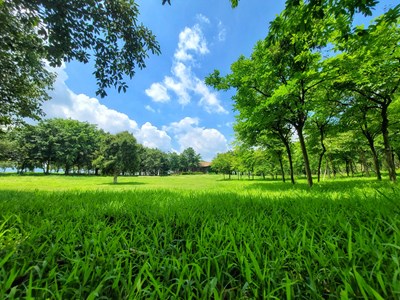 【我的色彩】+藍(lán)天白云