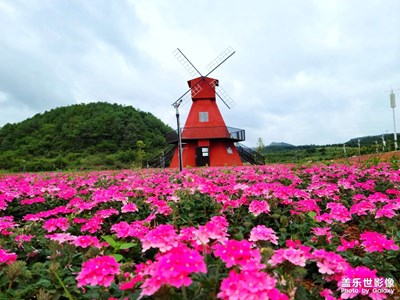 家鄉(xiāng)美景