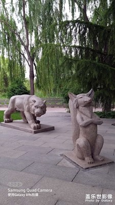 糊涂的拍