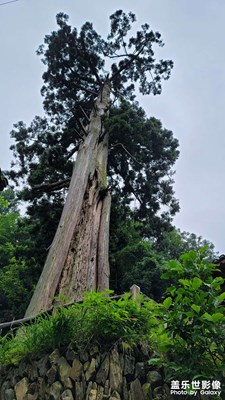 雷山，藏了多少美景在這里