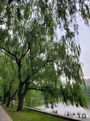 養(yǎng)眼