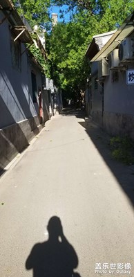 炒豆胡同