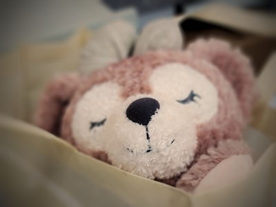 【發(fā)現(xiàn)之美】+生活中的小樂趣