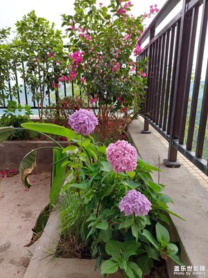 山景房