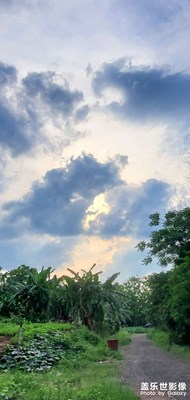 好久不見(jiàn)