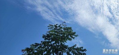今日份天氣