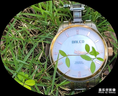 截住世間的橢圓截圖