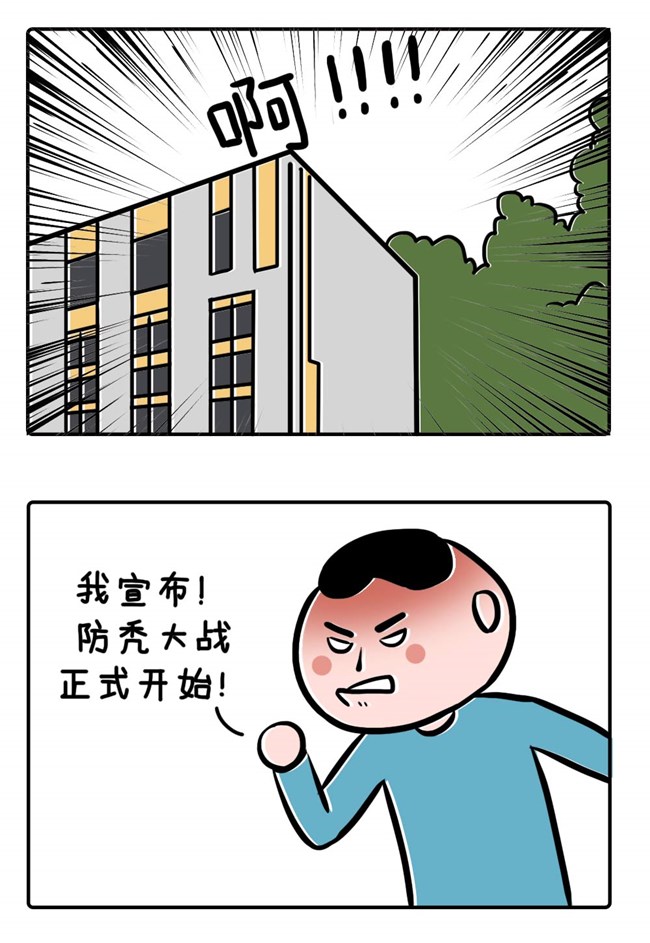 英年脫發(fā)怎么辦