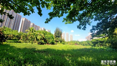 公園美景