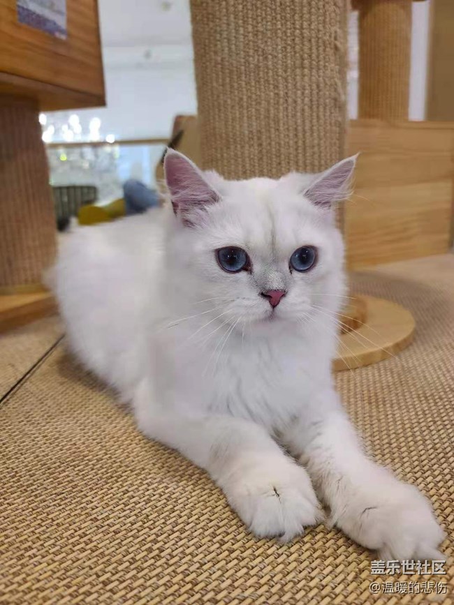 已開獎【寵物6月第二期】曬出寵物的可愛瞬間