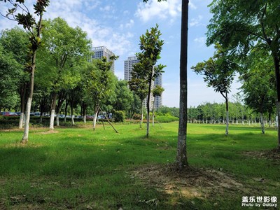 避險公園