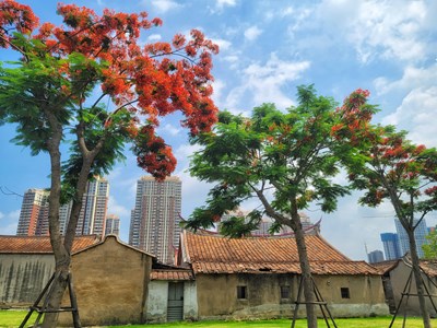 【念念不忘】+漳州之旅