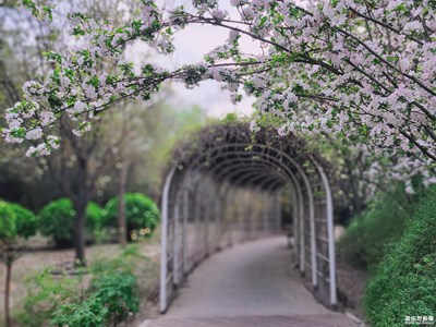 悠遠