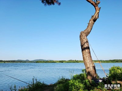 野釣