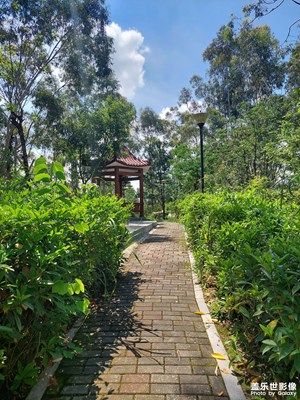 兌山公園