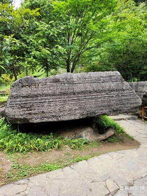 神龜馱經(jīng)