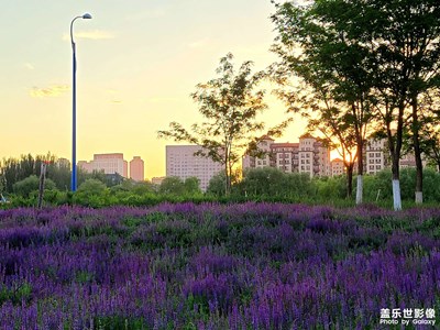 夕陽美景