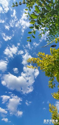 【隨處風(fēng)景】+久違的藍(lán)天