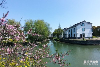 [隨處風(fēng)景]——江南鄉(xiāng)村隨拍