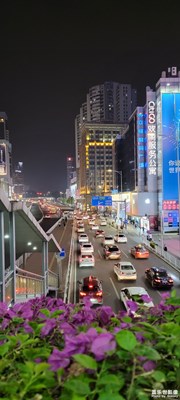 花蔓羊城，夜色濃