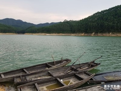 廉頗老矣，這個(gè)手機(jī)拍照不合適放大，