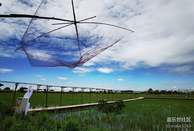 稻的顏色——夢(mèng)的空間 稻的顏色——夢(mèng)的空間