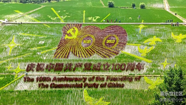 2021年沈陽星部落攝影活動之“稻夢空間”