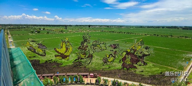 三星蓋樂世社區(qū)線下稻夢(mèng)空間活動(dòng)