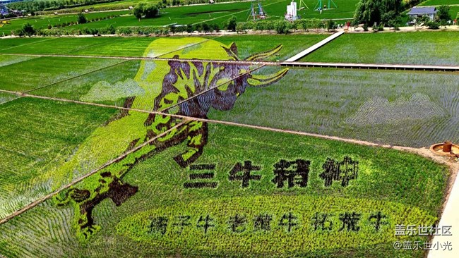 2021年沈陽星部落攝影活動之“稻夢空間”