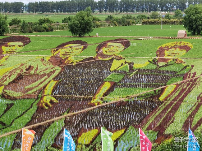 稻的顏色——夢(mèng)的空間 稻的顏色——夢(mèng)的空間