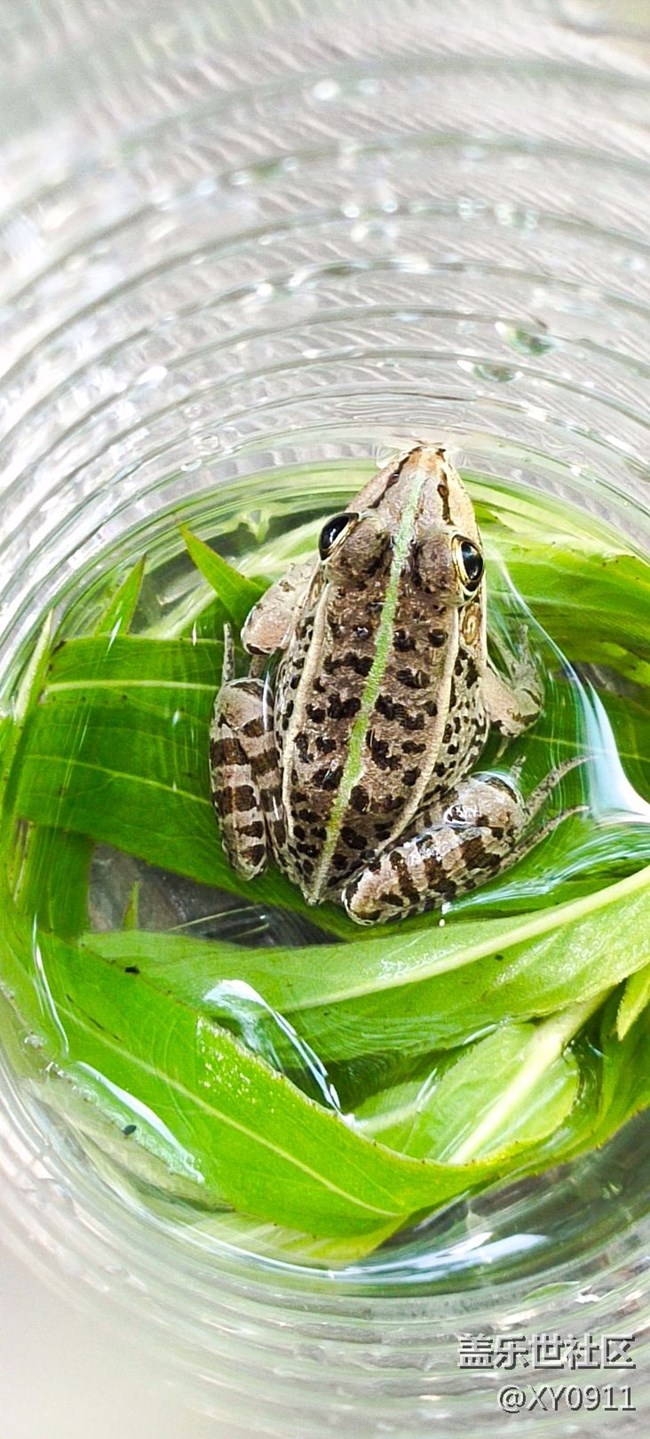 三星蓋樂世社區(qū)線下稻夢(mèng)空間活動(dòng)