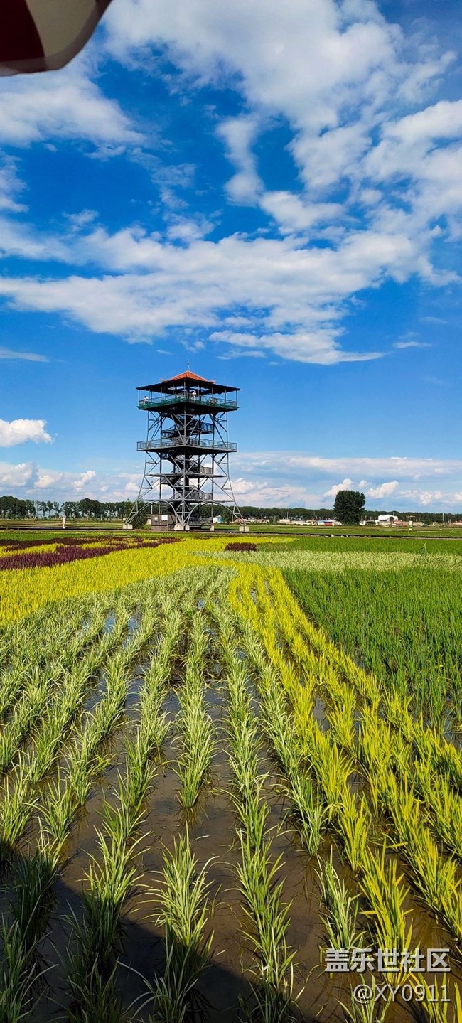 三星蓋樂世社區(qū)線下稻夢(mèng)空間活動(dòng)