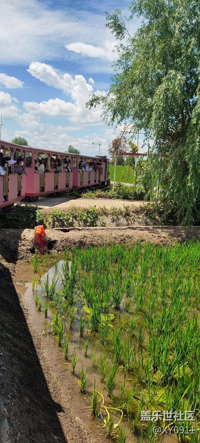 三星蓋樂世社區(qū)線下稻夢(mèng)空間活動(dòng)