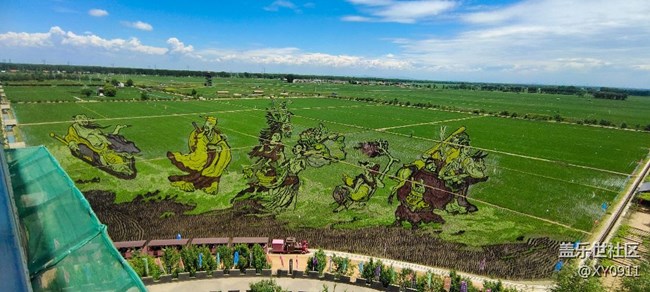 三星蓋樂世社區(qū)線下稻夢(mèng)空間活動(dòng)