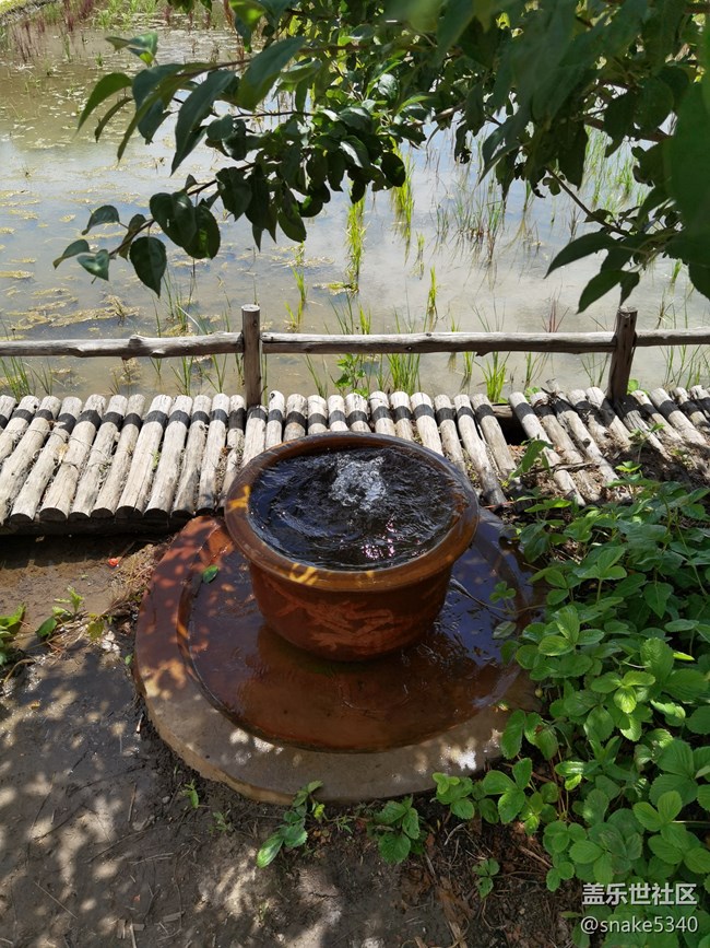 稻的顏色——夢(mèng)的空間 稻的顏色——夢(mèng)的空間