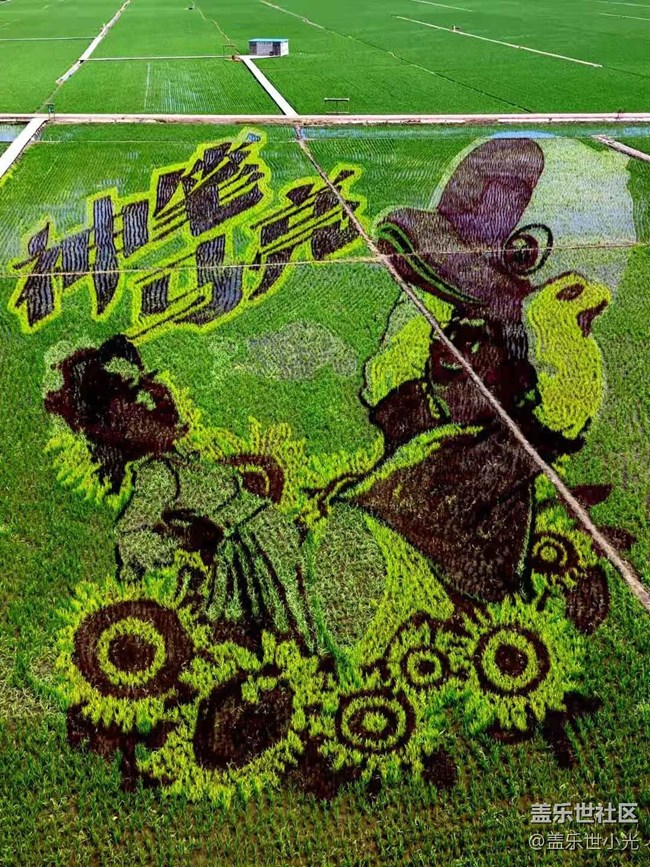 2021年沈陽星部落攝影活動之“稻夢空間”