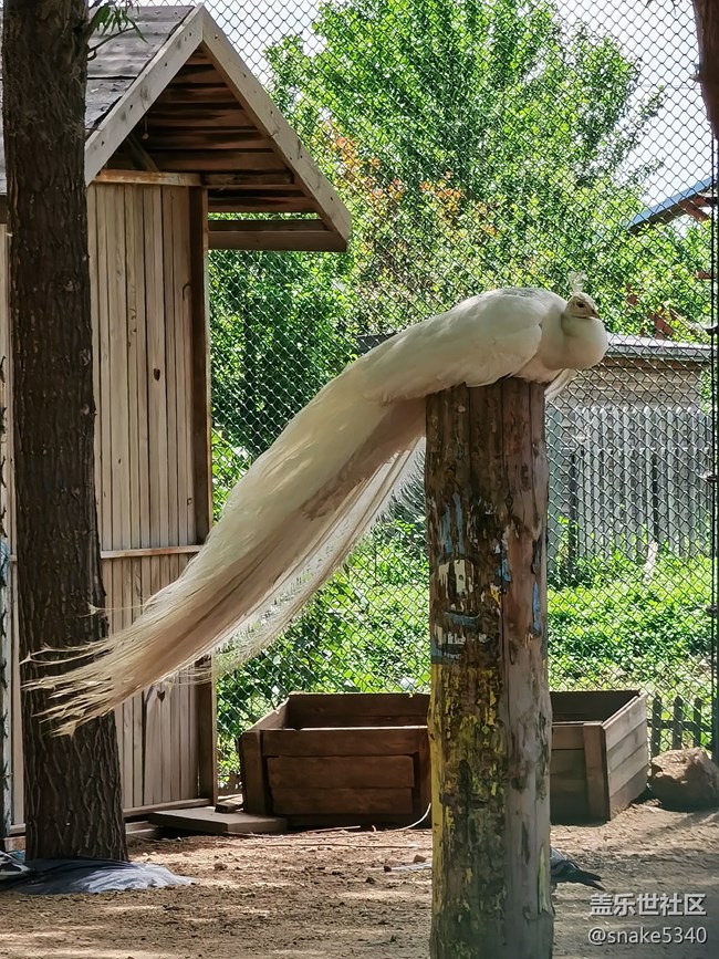 稻的顏色——夢(mèng)的空間 稻的顏色——夢(mèng)的空間