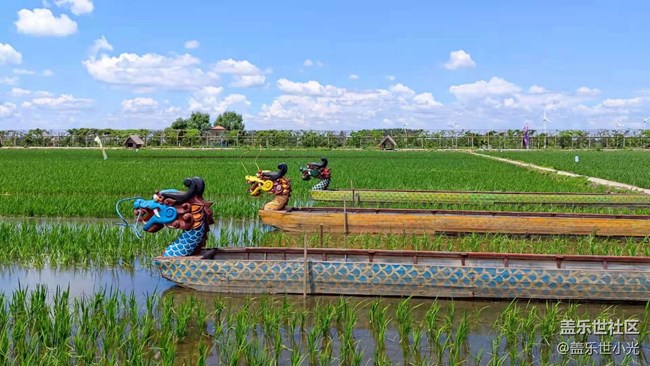 2021年沈陽星部落攝影活動之“稻夢空間”