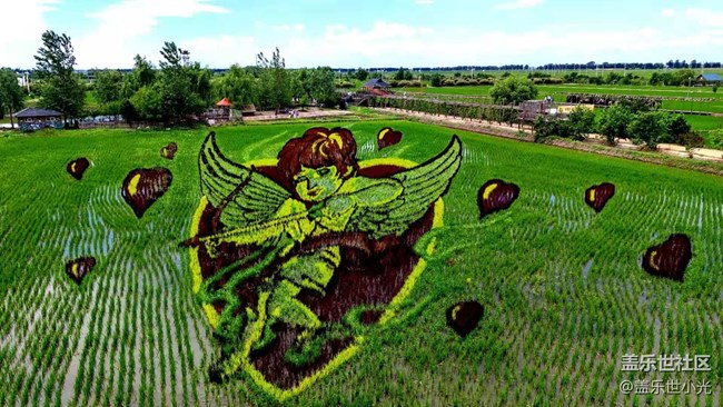 2021年沈陽星部落攝影活動之“稻夢空間”