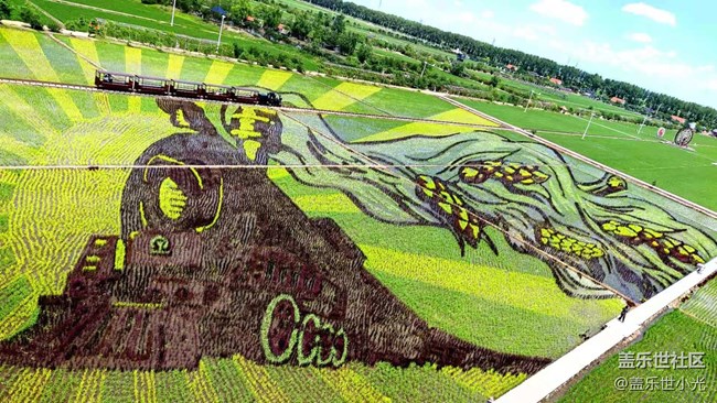 2021年沈陽星部落攝影活動之“稻夢空間”