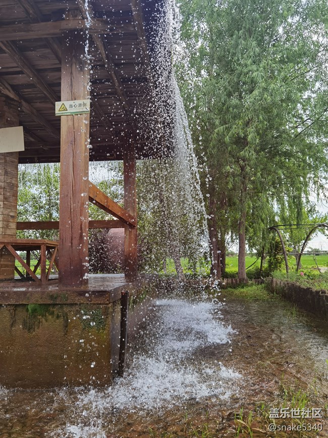 稻的顏色——夢(mèng)的空間 稻的顏色——夢(mèng)的空間