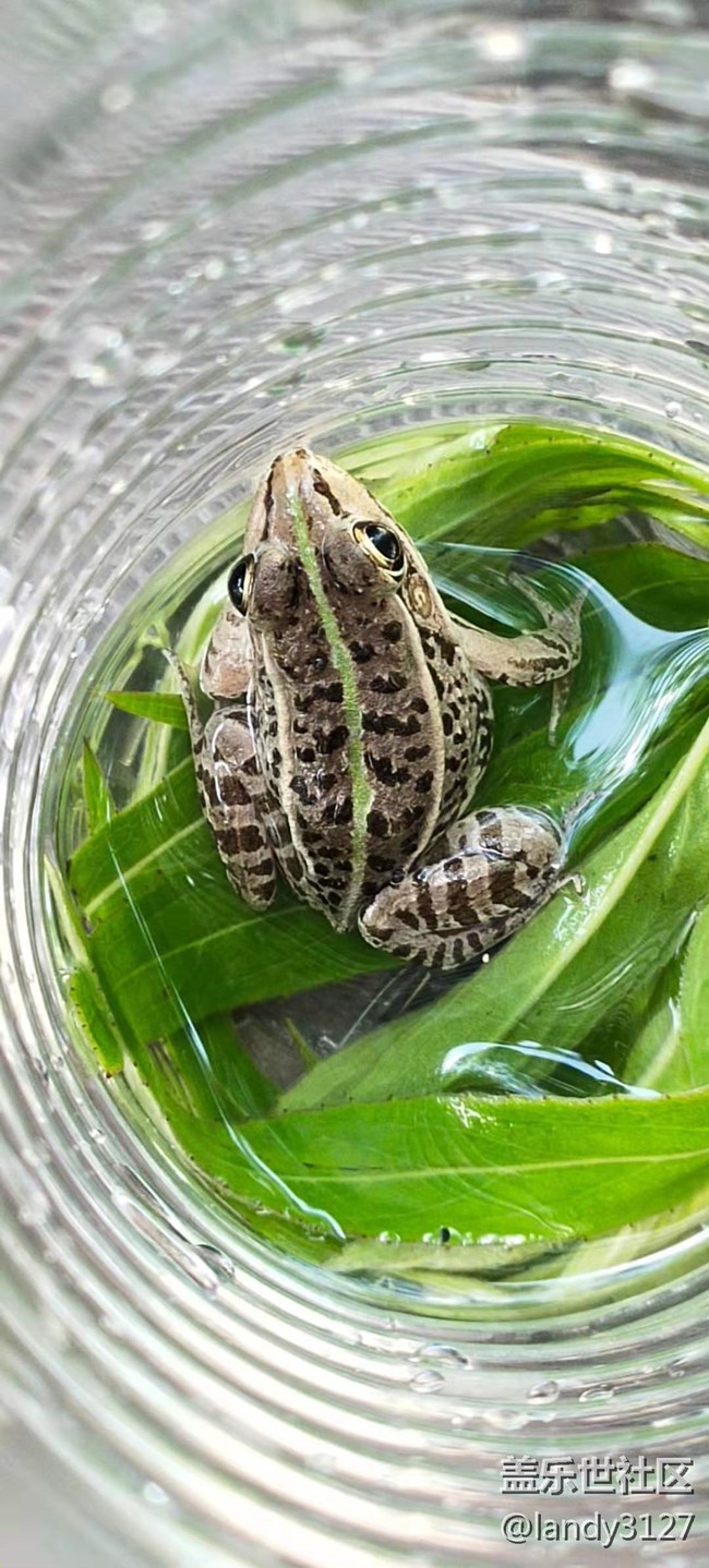 6.20-沈陽星部落稻夢空間一日游