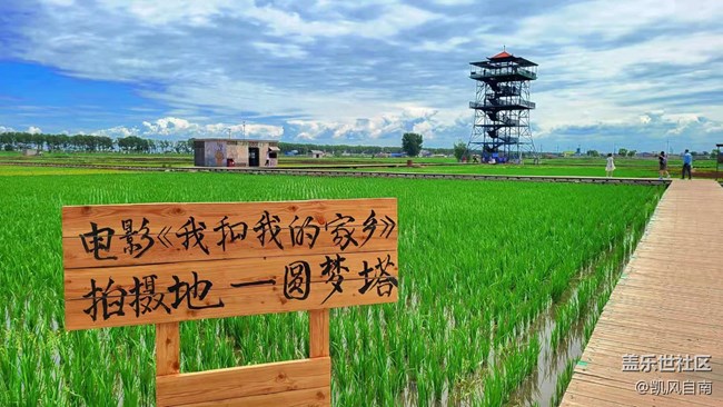 沈陽星部落稻夢空間線下攝影活動回顧