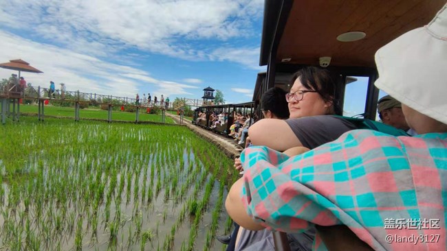 6.20-沈陽星部落稻夢空間一日游