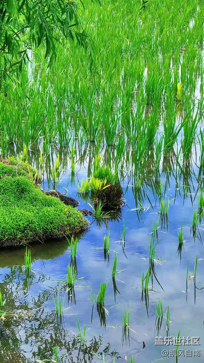 沈陽星部落稻夢空間線下攝影活動回顧