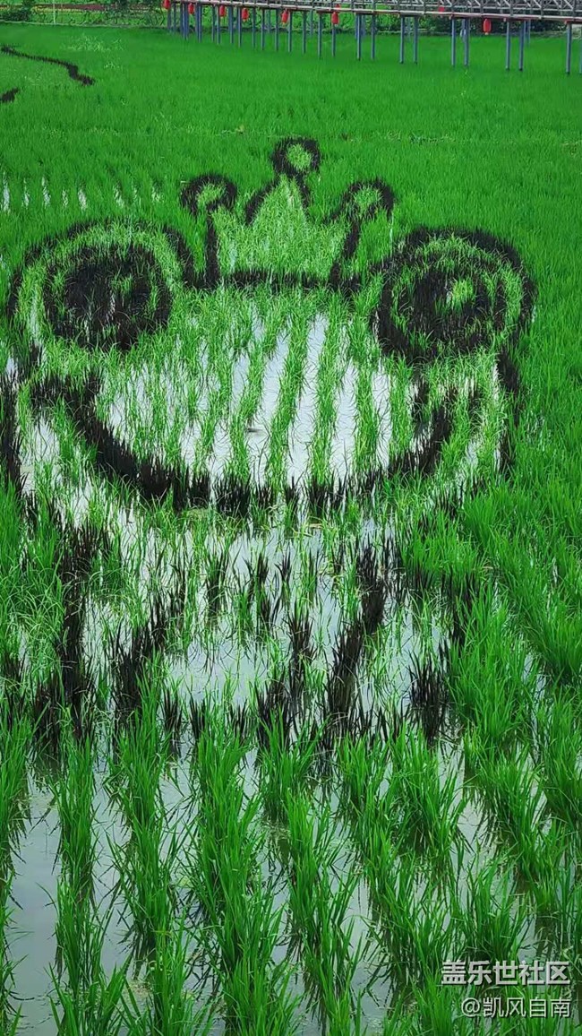 沈陽星部落稻夢空間線下攝影活動回顧