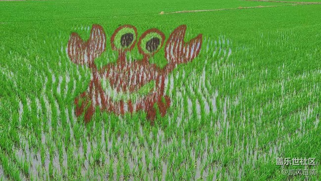 沈陽星部落稻夢空間線下攝影活動回顧